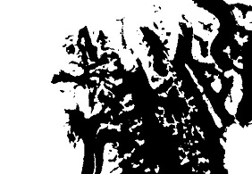 Problem z wyświetleniem zdjęcia: „Wydzielona warstwa lodowca na podstawie zdjęcia Landsat 8 przed nadaniem barw”