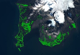 Problem z wyświetleniem zdjęcia: „Wskaźnik NDVI na zdjęciu Sentinel 2 z wyznaczoną roślinnością”