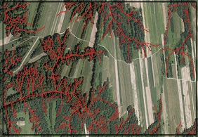 Problem z wyświetleniem zdjęcia: „Analizowany teren z zaznaczonymi osiami wąwozów”