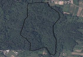 Problem z wyświetleniem zdjęcia: „Analizowany obszar”