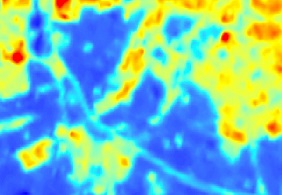 Problem z wyświetleniem zdjęcia: „Lasy na mapie radiacyjnej”